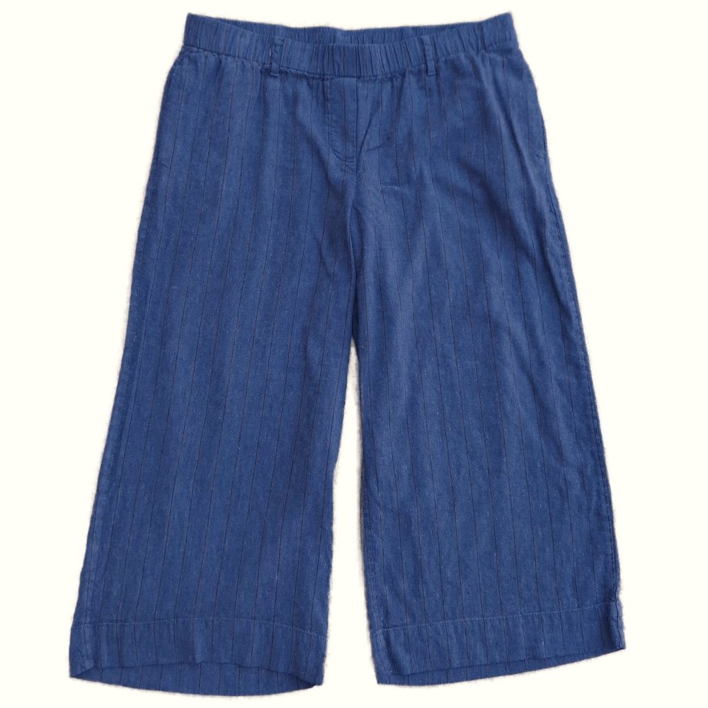 LiNeN Stretch J. Jill Blue Pants Pinstriped Crop Pull On Elastic Waist Pockets M